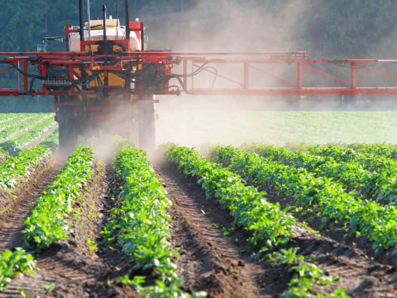 The Easiest Way to Avoid Pesticide Exposure Only Organic
