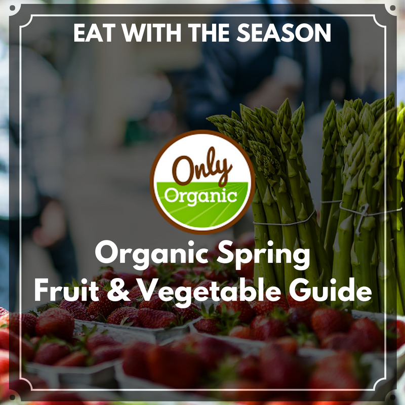 OO Spring Guide