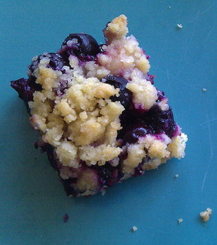 blueberry-e1436805927188