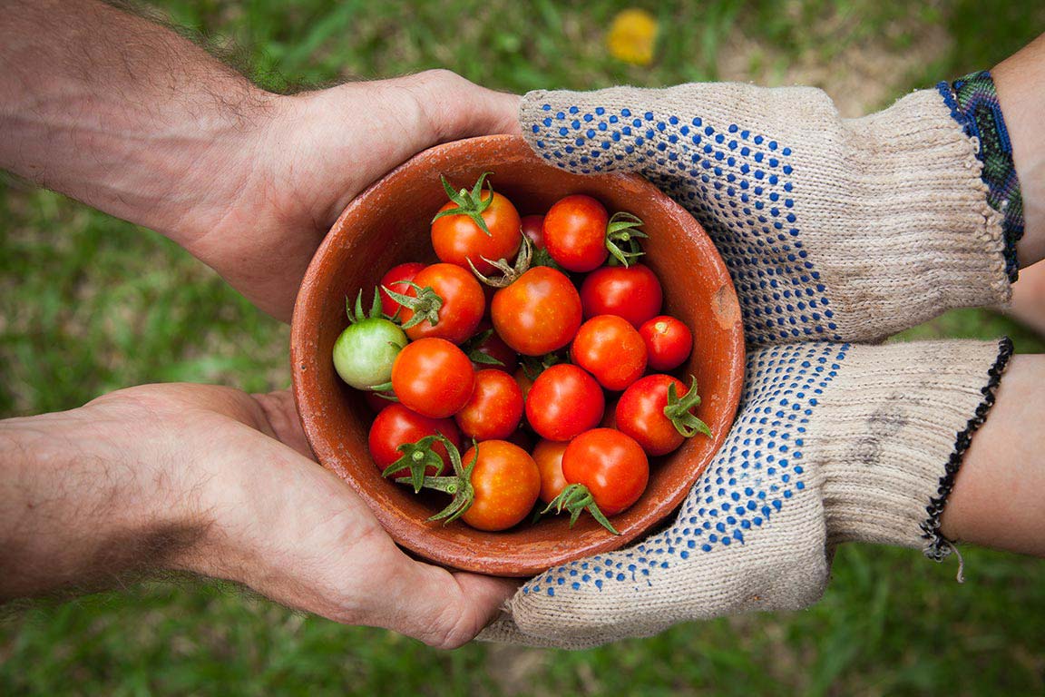 15 Reasons To Eat Organic | Only Organic