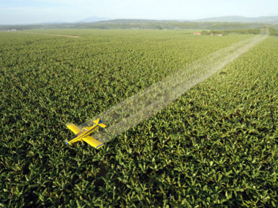 All Pesticides Aren’t Created Equal